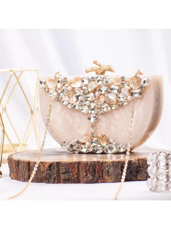 Resin Clutches Purse